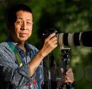 人妻色综合-探索人妻角色在多元文化中的色彩综合