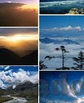 糖心app免登录-探寻网络洪流中的真知，不染之境